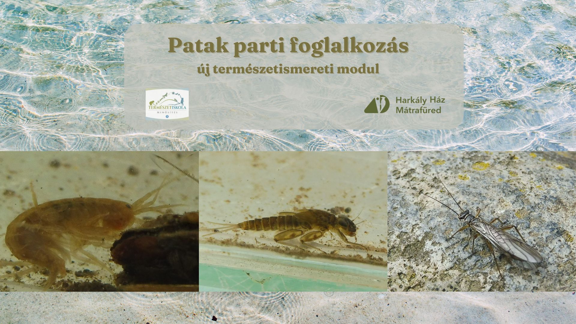 Patak parti foglalkozás modul_borító.jpg